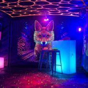 PHOTO-2026-02-25-22-14-15